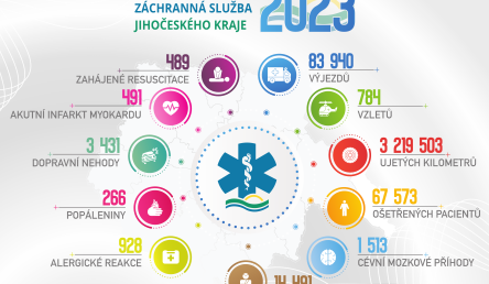 STATISTIKA VÝJEZDŮ ZDRAVOTNICKÉ ZÁCHRANNÉ SLUŽBY JIHOČESKÉHO KRAJE ZA ROK 2023